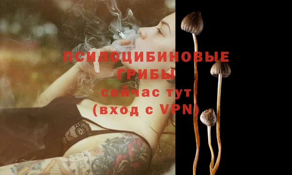 ПСИЛОЦИБИНОВЫЕ ГРИБЫ Волоколамск
