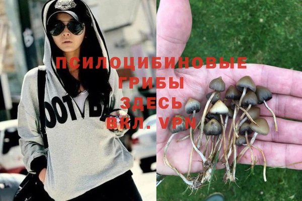 ПСИЛОЦИБИНОВЫЕ ГРИБЫ Волоколамск