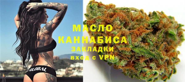 дмт Володарск