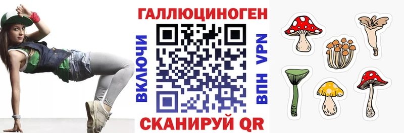 Псилоцибиновые грибы Psilocybe  Катав-Ивановск 